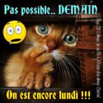 ᐅ Demain c'est lundi Images - Cartes d'anniversaire images gratuites