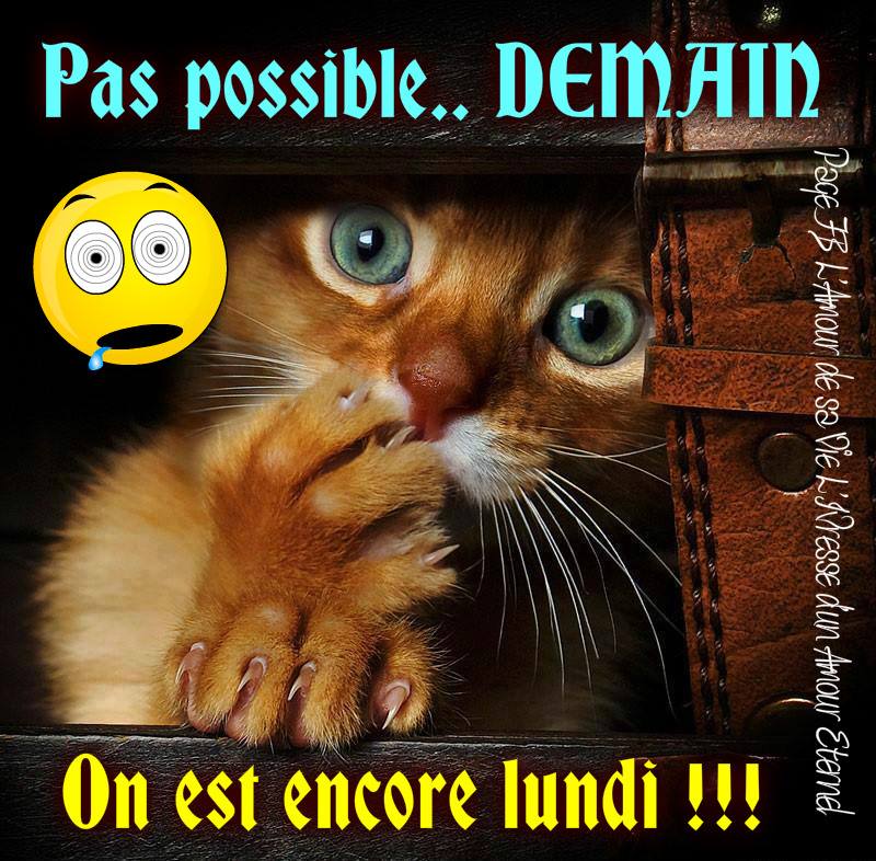 ᐅ Demain c'est lundi Images - Demain c\'est lundi Images images gratuites